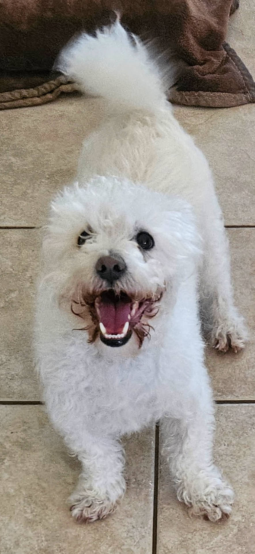 Benny