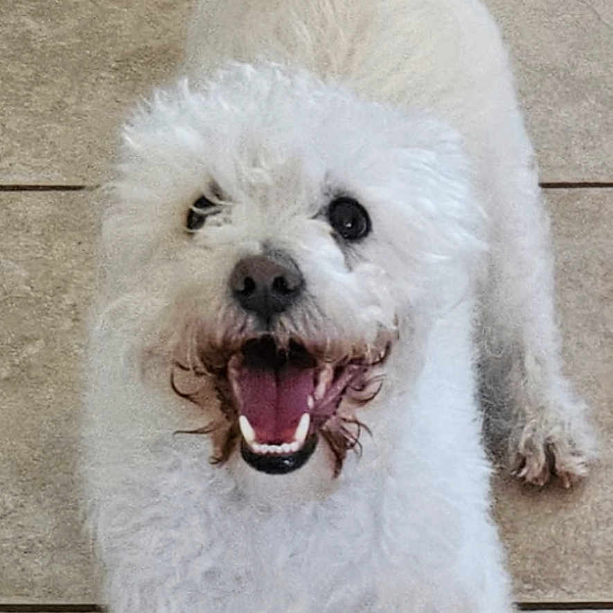Benny