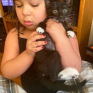 Vea'S Rebel joined the competition — help win amazing prizes! child, kitten, black_cat, white_paws, indoor, wooden_furniture, holding, cute, curious, toddler, plaid_blanket, nail_polish, closeup, pet, young_child, furniture, face, whiskers, cozy, home