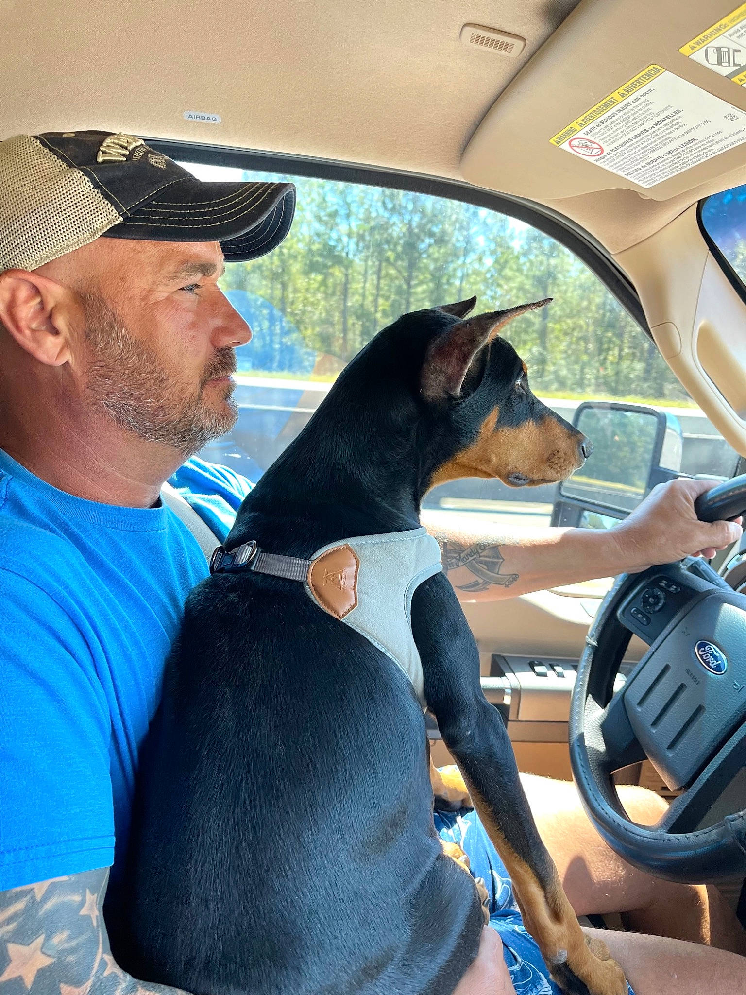 Lizzy is registered to the contest to win money with this photo: automotive_exterior, baseball_cap, beard, car, car_seat, car_seat_cover, carnivore, dog, eyewear, fawn, goggles, hat, head_restraint, motor_vehicle, steering_part, steering_wheel, sunglasses, vehicle, vehicle_door, window