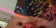 Ace is registered to the contest to win money with this photo: animal, background, blurry, cat, close_up, colorful, curious, cute, decor, face, feline, fur, indoor, led_lights, nose, pet, pink_nose, soft, tapestry, whiskers