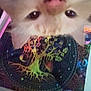 Ace is registered to the contest to win money with this photo: art, background, cat, close_up, colorful, cosmic, curious, decor, eyes, face, feline, indoor, nose, pattern, pet, space, tapestry, tree, upside_down, whiskers