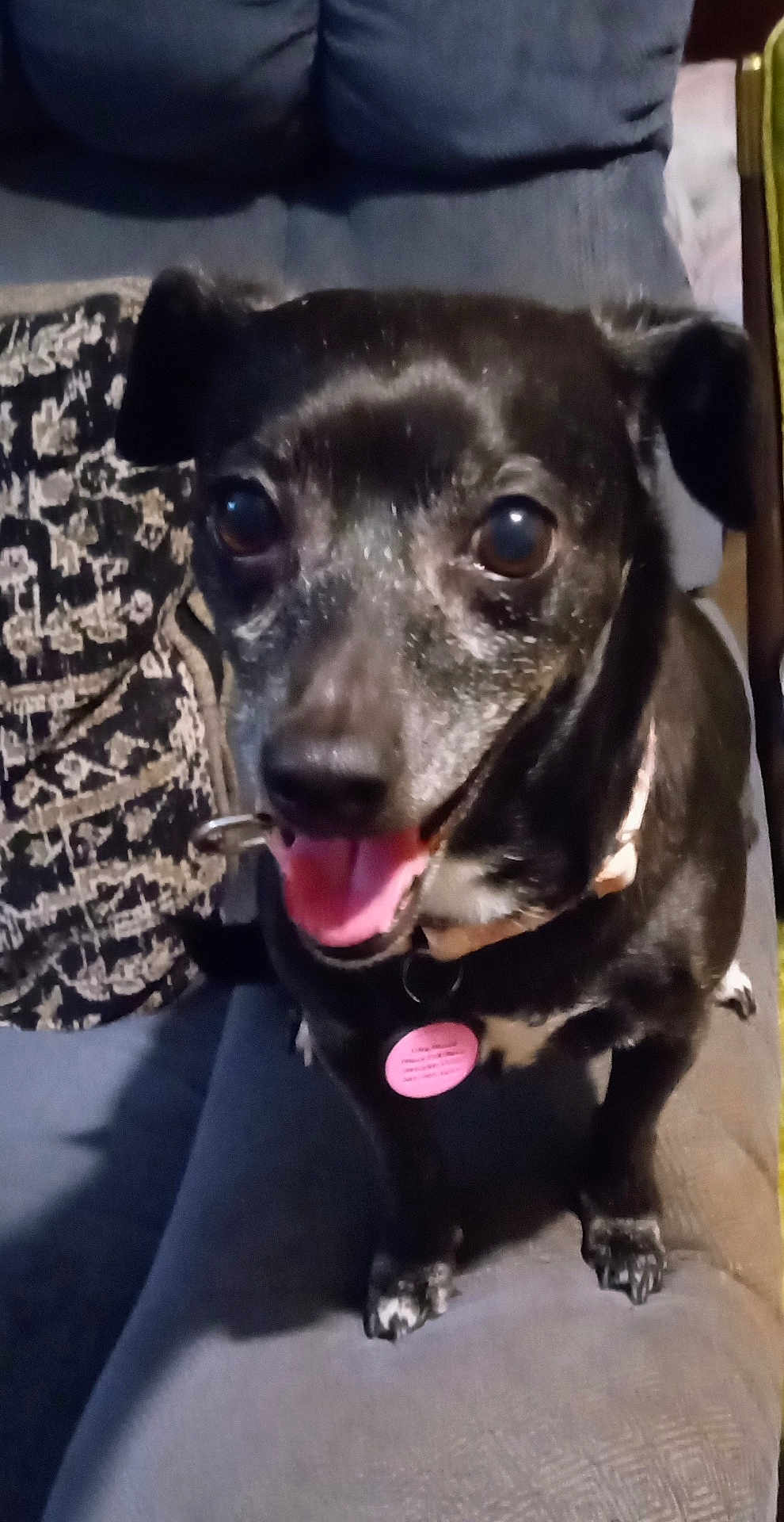 Layla