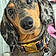 Tyrus