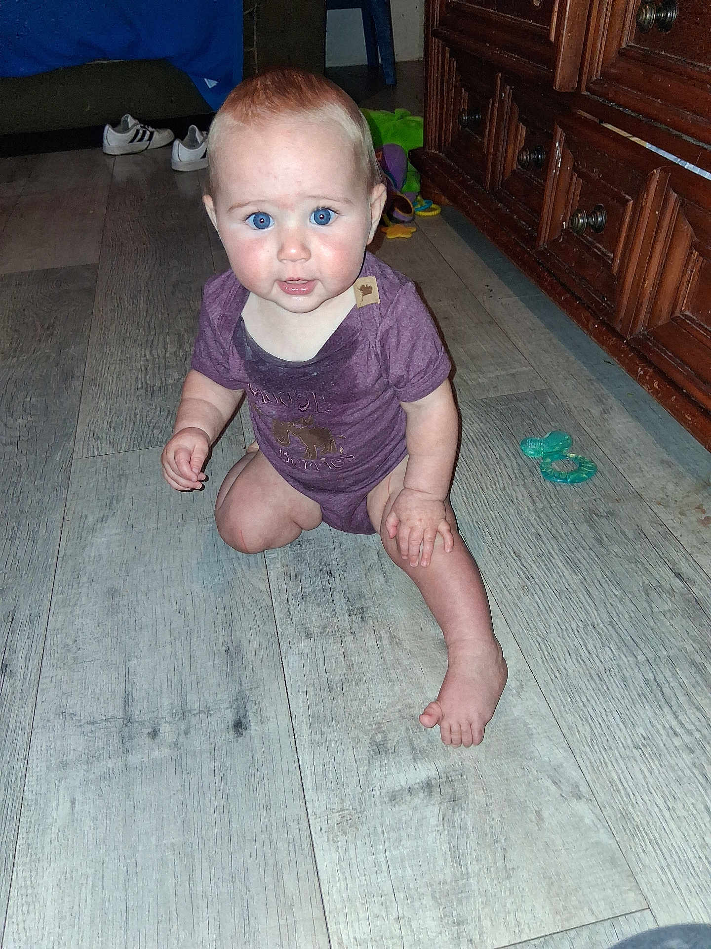 Tessa joined the competition — help win amazing prizes! baby, child, blue_eyes, purple_onesie, wooden_floor, indoor, curious, sitting, toys, shoes, furniture, cabinet, flooring, person, infant, young_child, looking_up, home, candid, casual