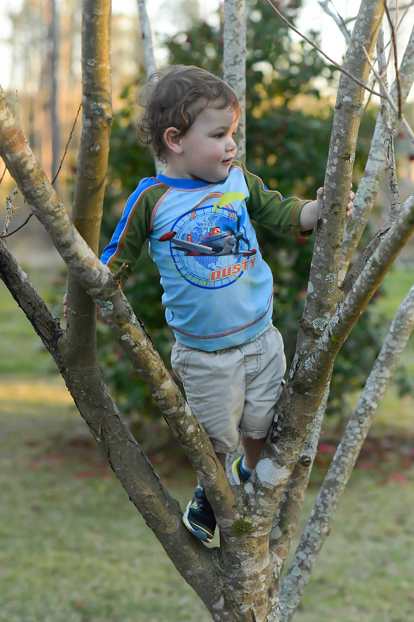 Wyatt is registered to the contest to win money with this photo: baby_toddler_clothing, beauty, botany, branch, fun, grass, happy, leisure, mammal, natural_environment, people_in_nature, person, plant, recreation, toddler, tree, trunk, twig, vertebrate, wood
