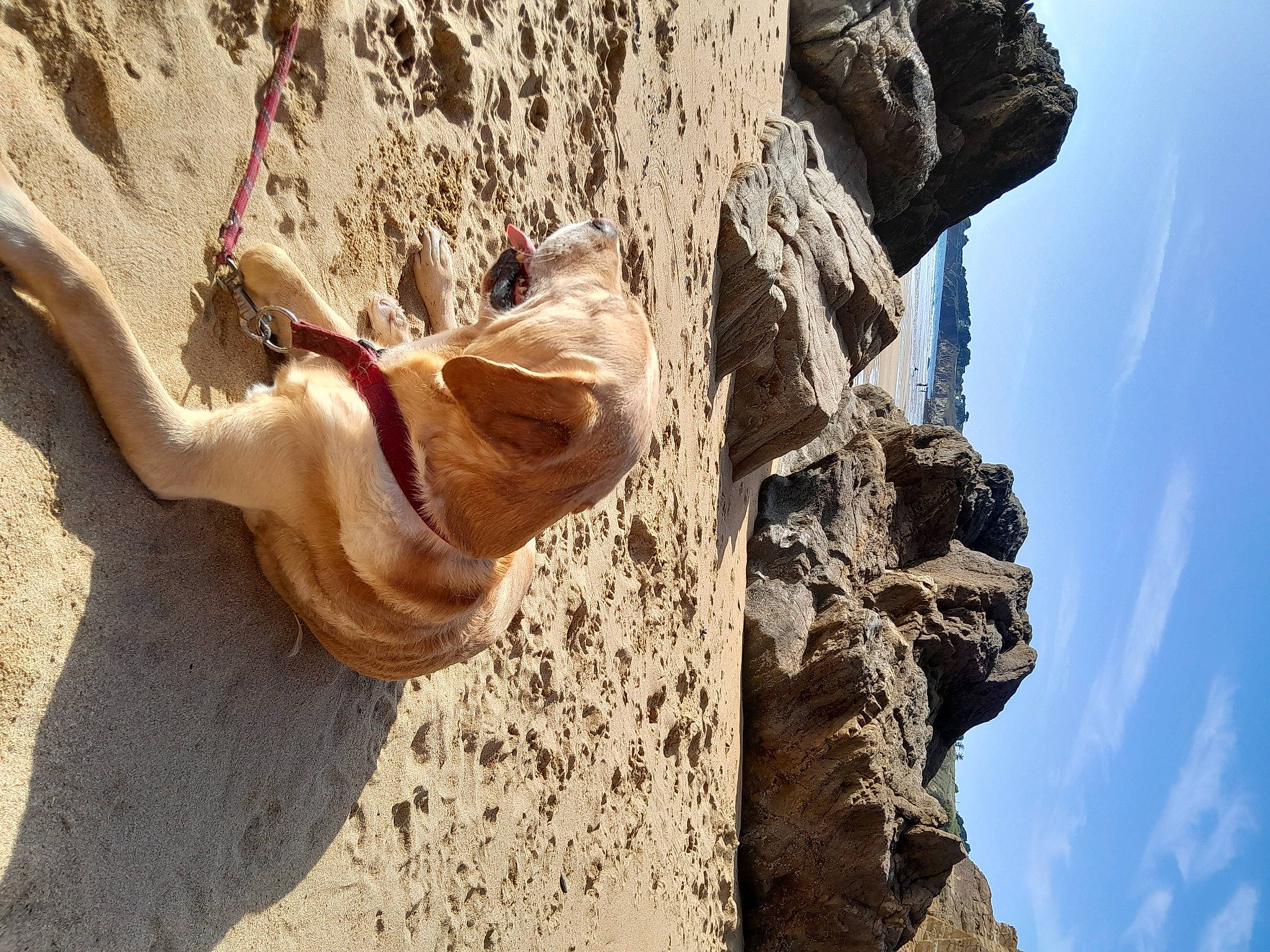 Jenzo participe au concours pour gagner de l'argent avec cette photo : adventure, bedrock, cloud, fawn, formation, geology, landscape, mountain, outcrop, plant, recreation, rock, sky, soil, sport_climbing, terrestrial_animal, tree, trunk, wildlife, wood