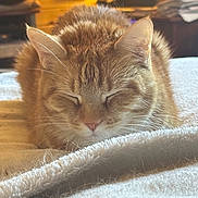 Flash is registered to the contest to win money with this photo: