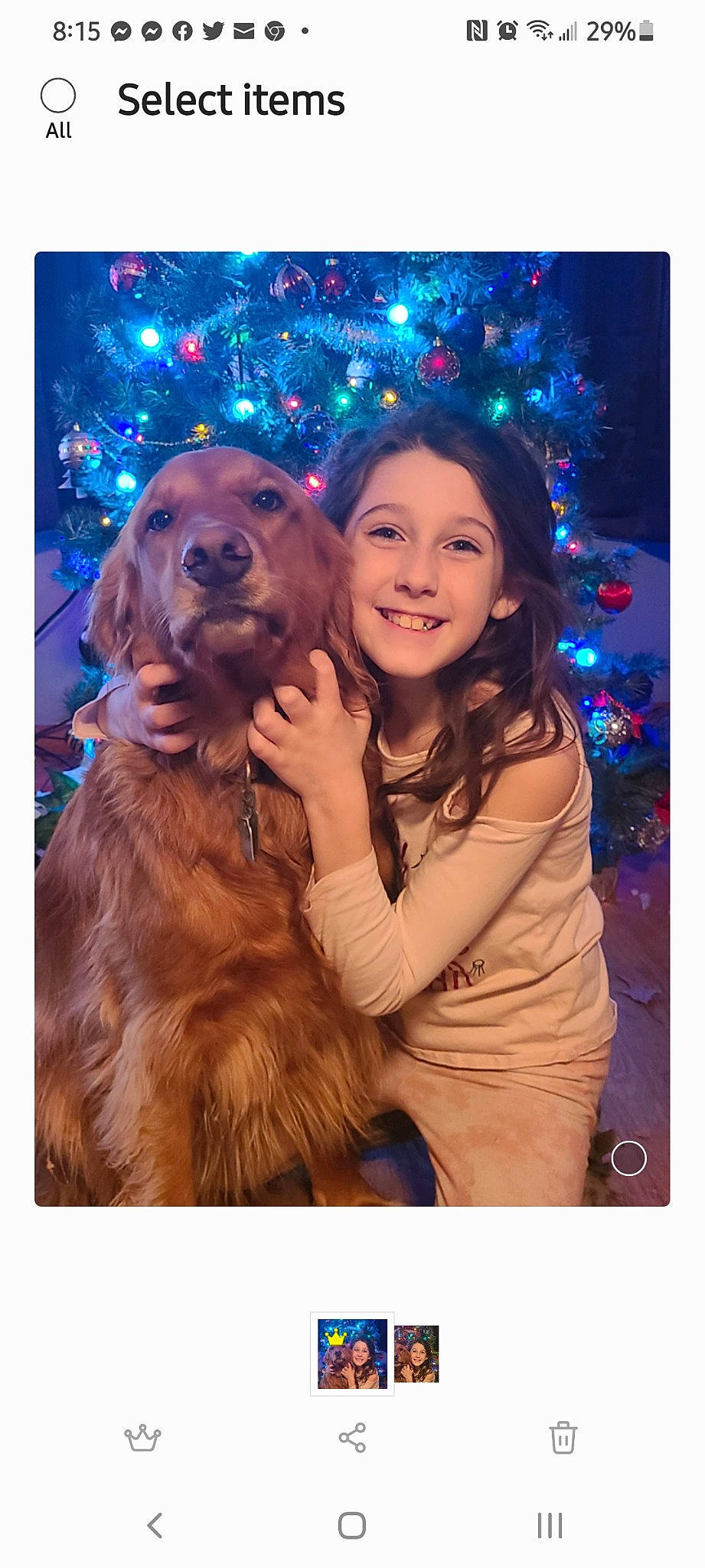 Nala Rose joined the competition — help win amazing prizes! beauty, blue, carnivore, christmas, christmas_decoration, christmas_ornament, christmas_tree, companion_dog, dog, dog_breed, electric_blue, event, fawn, fun, happy, holiday, light, liver, smile, sporting_group