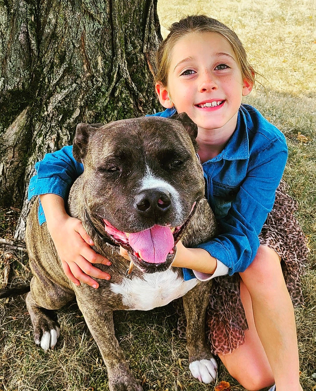 Chance joined the competition — help win amazing prizes! adventure, canidae, carnivore, collar, companion_dog, dog, dog_breed, dog_collar, fawn, fun, grass, happy, leg, leisure, recreation, smile, snout, sporting_group, toddler, vertebrate