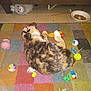 cat, calico, toy, colorful_rug, floor, bowl, kibble, indoor, pet, playful, fur, animal, relaxed, lying_down, whiskers, claws, paw, stuffed_toy, plastic_toy, home