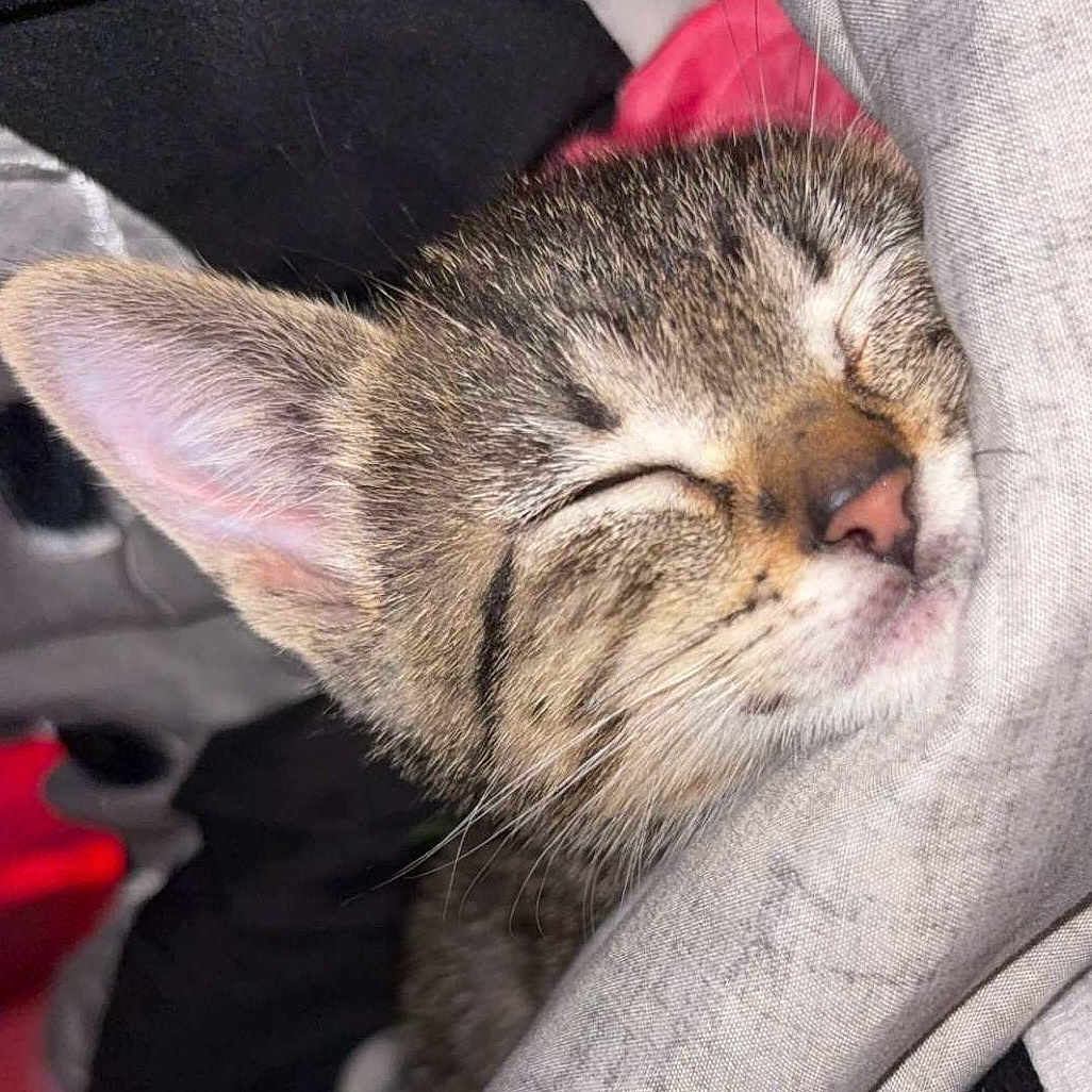 Cosita