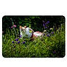 cat, orange_and_white_fur, grass, flowers, purple_flowers, greenery, ball, outdoor, nature, sunlight, animal, pet, curious, feline, wildflowers, garden, summer, plant, field, daylight