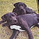 Weedow Et Marley