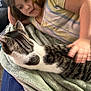 child, cat, tabby_cat, petting, blanket, bed, striped_shirt, indoor, hand, relaxed, soft_texture, curious, comfort, cuddle, young, resting, furniture, casual, home, interaction