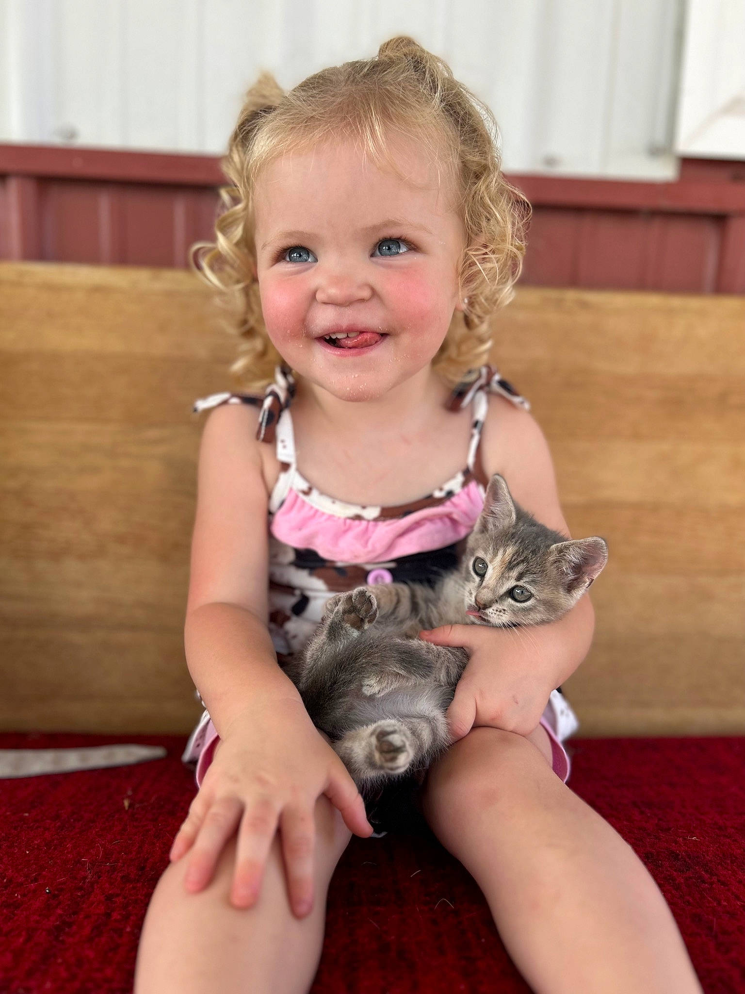 Tinlee is registered to the contest to win money with this photo: baby_toddler_clothing, blond, carnivore, cat, child, companion_dog, eye, fawn, felidae, hand, happy, human_leg, iris, joy, person, skin, small_to_medium_sized_cats, smile, thigh, thumb