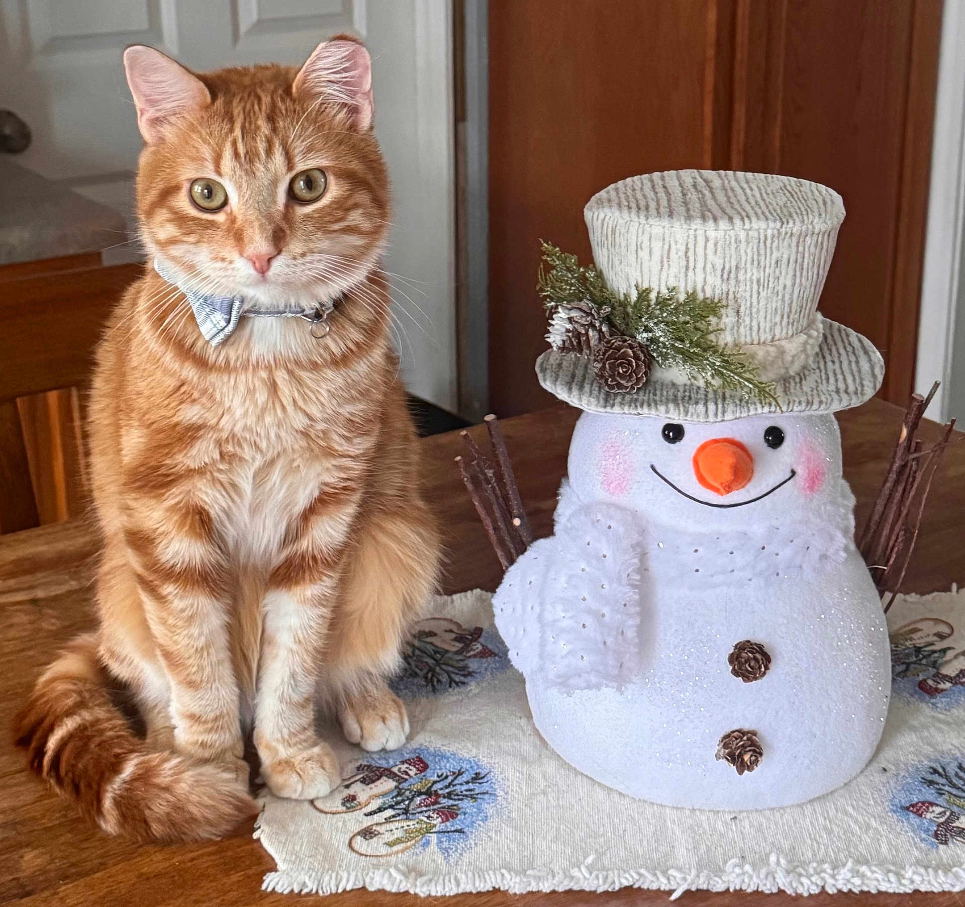 Sunny joined the competition — help win amazing prizes! cat, orange_tabby, bow_tie, pet, indoor, table, wooden_table, snowman, winter_decoration, hat, pinecones, twigs, white_fur, orange_nose, smile, decorative, holiday, cozy, curious, domestic_animal