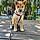 Mylo