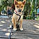 Mylo