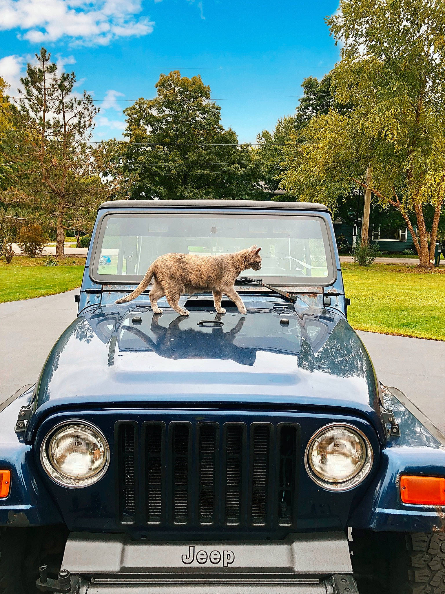 Nahla joined the competition — help win amazing prizes! automotive_design, automotive_exterior, automotive_lighting, automotive_parking_light, automotive_tire, bumper, car, cloud, fender, grille, headlamp, hood, mode_of_transport, motor_vehicle, plant, sky, tree, vehicle, vehicle_door, vehicle_registration_plate