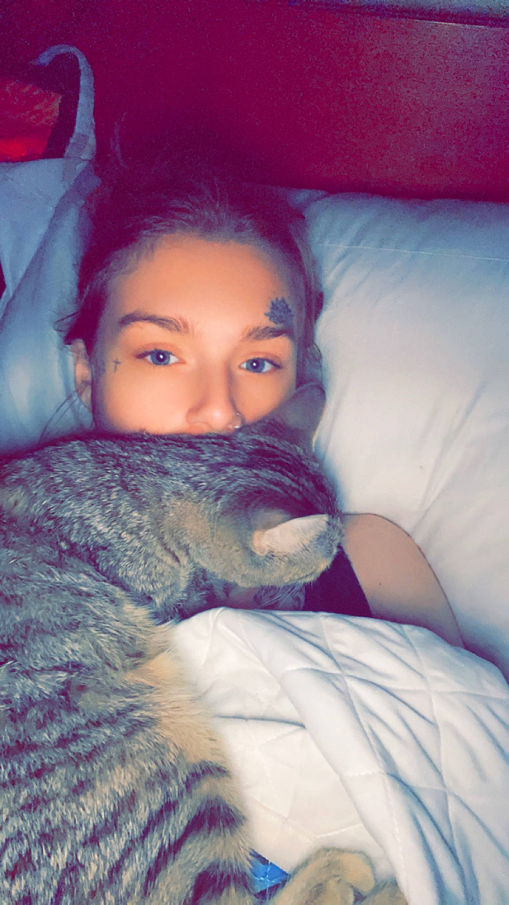 Salem joined the competition — help win amazing prizes! black_hair, cat, comfort, cool, eye, eyebrow, eyelash, felidae, hairstyle, happy, iris, lip, long_hair, mouth, neck, nose, shoulder, skin, small_to_medium_sized_cats, textile