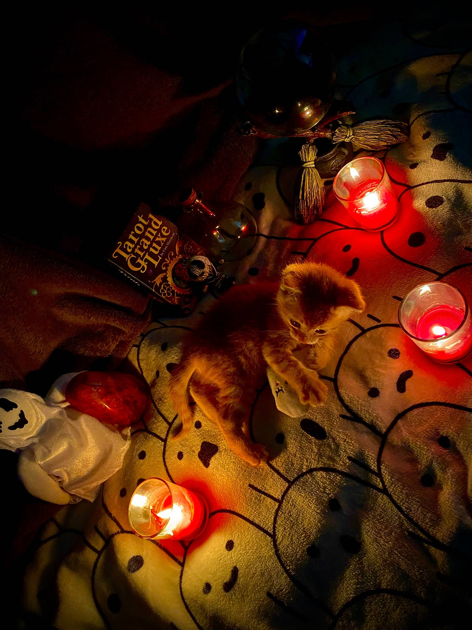 Chucky joined the competition — help win amazing prizes! amber, art, carmine, christmas_ornament, darkness, event, fashion_accessory, font, heat, holiday, lantern, light_fixture, ornament, petal, space, still_life, still_life_photography, tints_and_shades, tradition, visual_arts