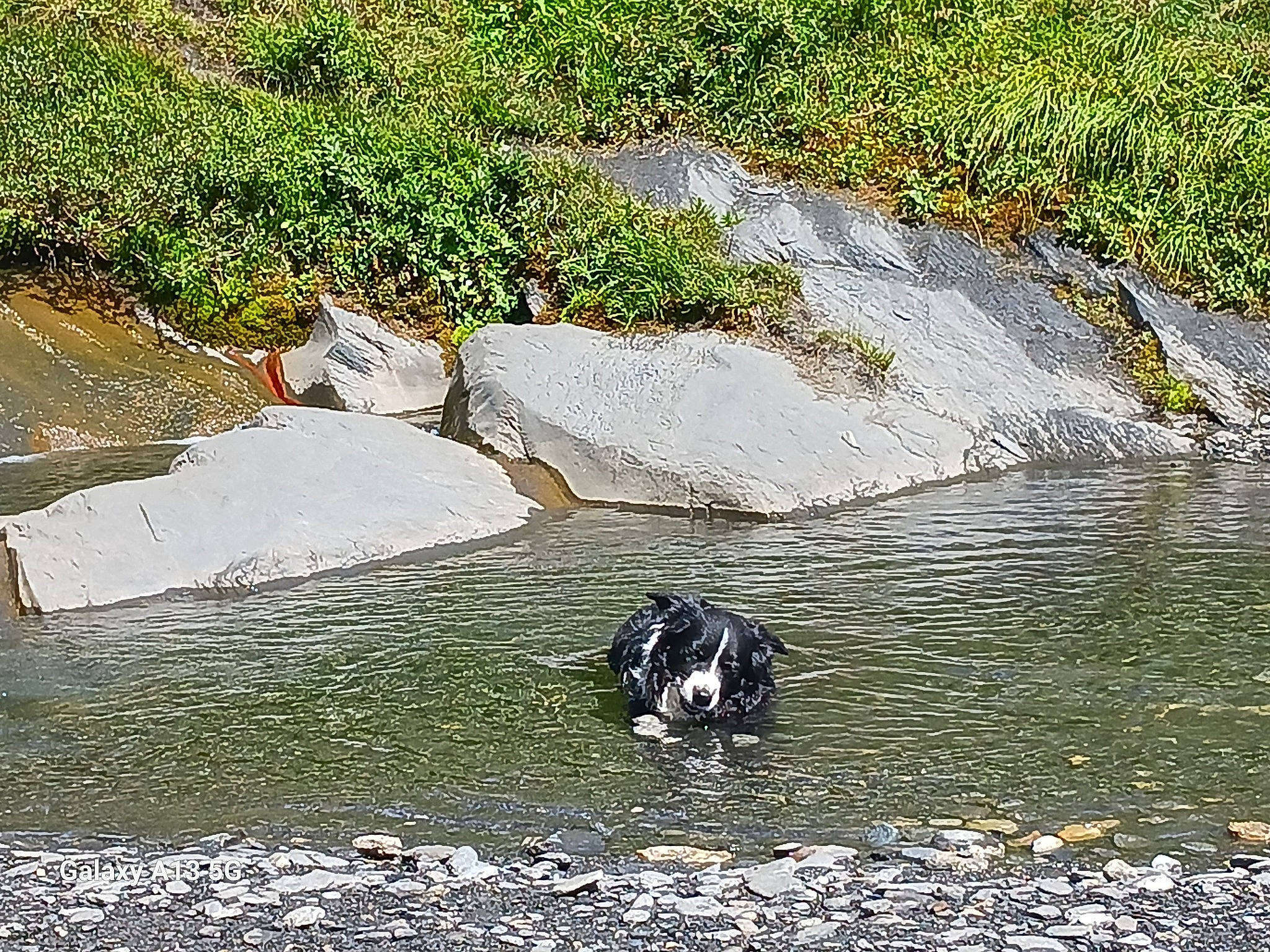 Patxi participe au concours pour gagner de l'argent avec cette photo : arroyo, bank, beak, bedrock, bird, creek, fluvial_landforms_of_streams, grass, lake, landscape, mountain_river, natural_landscape, plant, riparian_zone, seabird, stream, vertebrate, water, watercourse, waterway