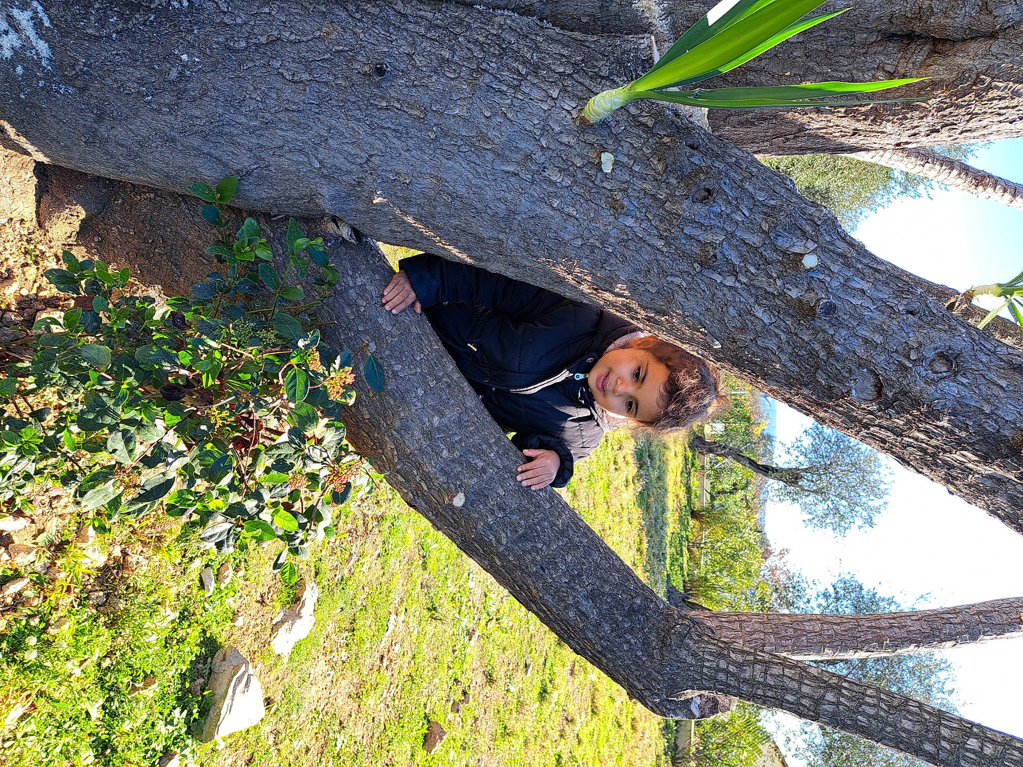 Lina a rejoint le concours — aidez-le/la à gagner de superbes lots ! arecales, botany, branch, forest, grass, groundcover, jungle, leisure, people_in_nature, person, plant, plant_stem, smile, terrestrial_plant, tree, trunk, twig, vegetation, wood, woody_plant