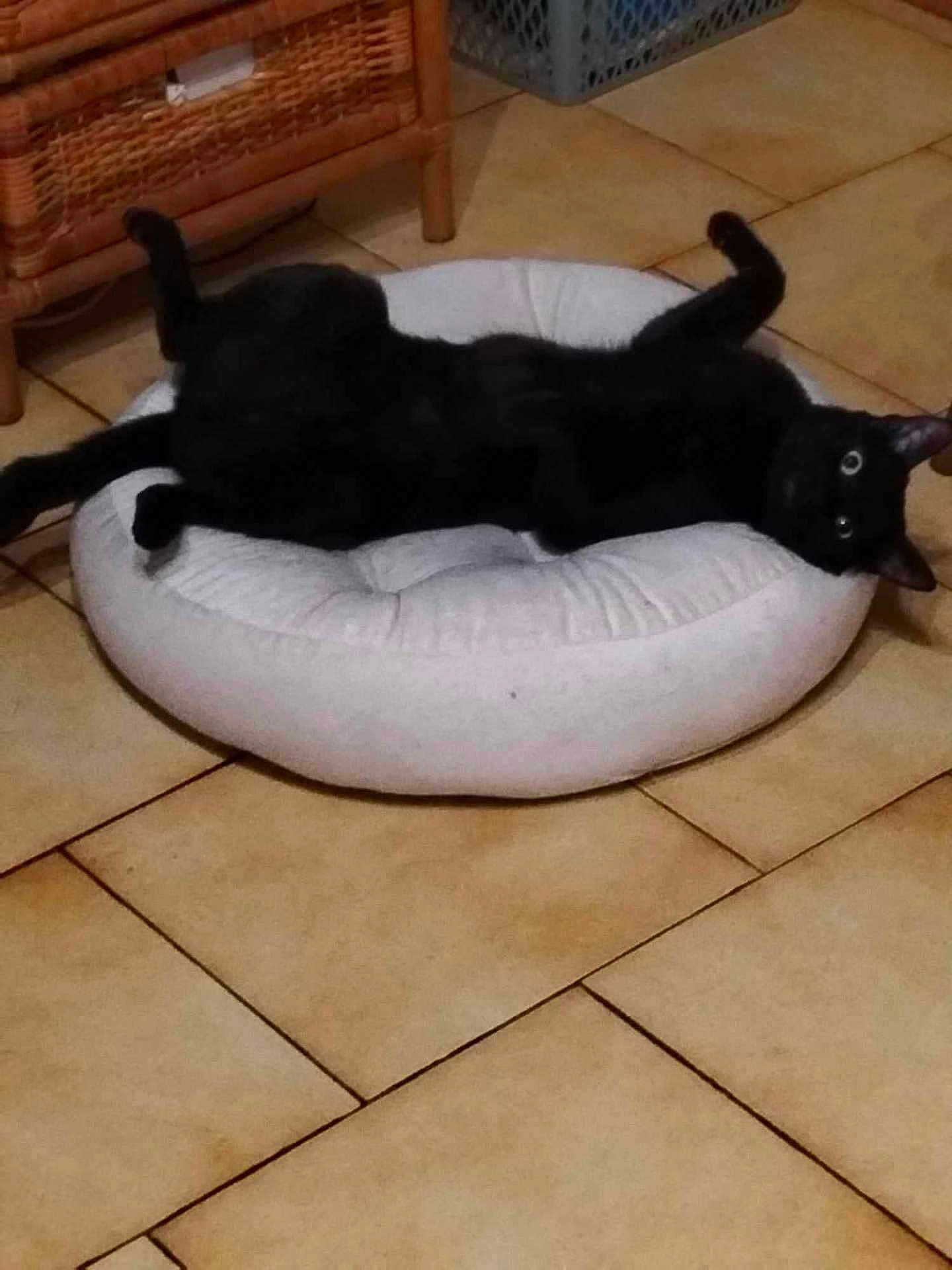 Salem