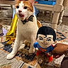 Hippo joined the competition — help win amazing prizes! cat, orange_cat, white_cat, bow_tie, plush_toy, superman_toy, hand, rug, indoor, furniture, table, chair, patterned_rug, toy, pet, animal, decor, carpet, playful, closeup