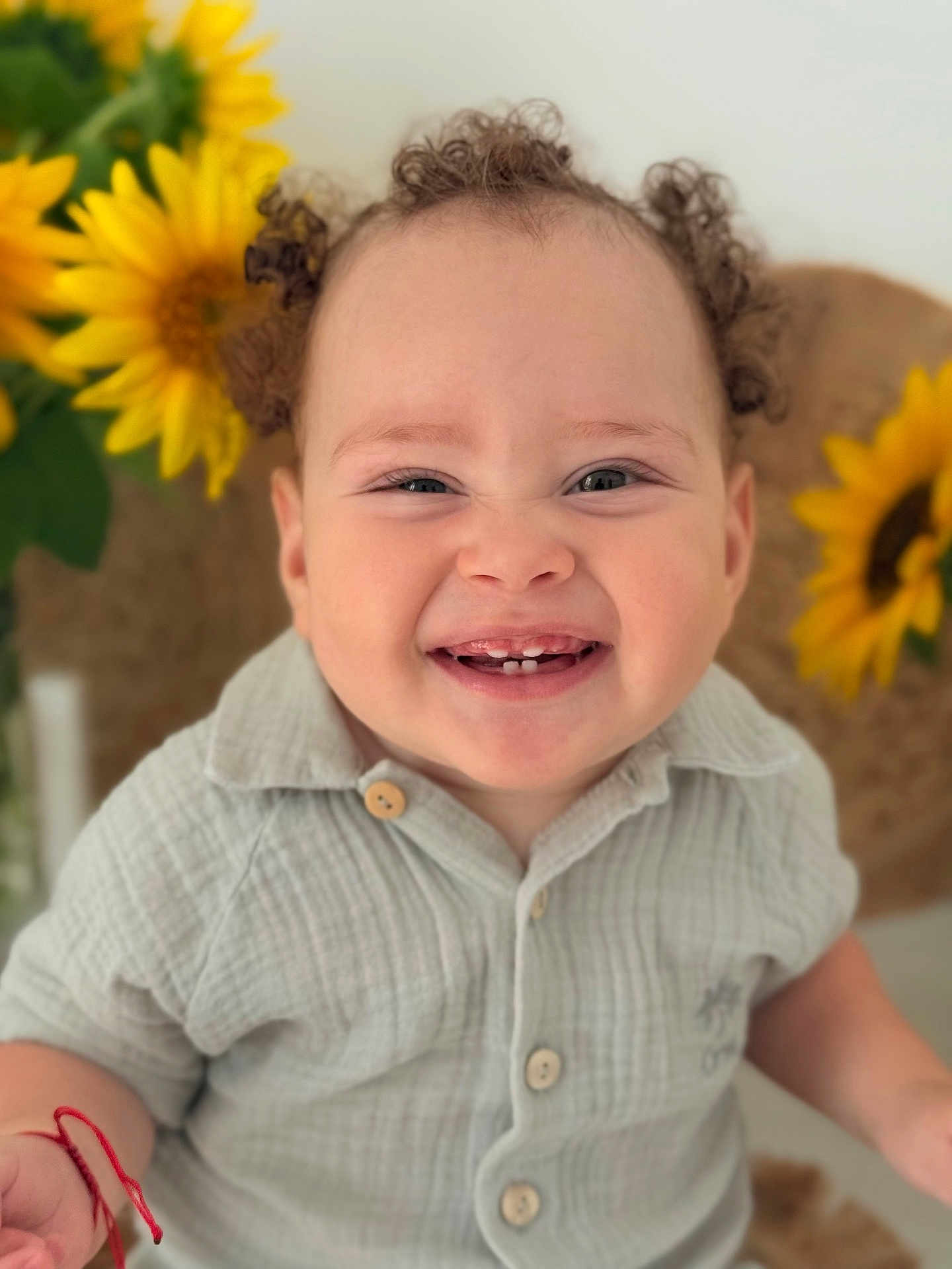 Mario is registered to the contest to win money with this photo: toddler, child, smiling, curly_hair, teeth, shirt, buttoned_shirt, sunflowers, flower, portrait, happy, baby, cute, indoor, face, person, young_child, closeup, skin, expression