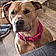 Nala Girl