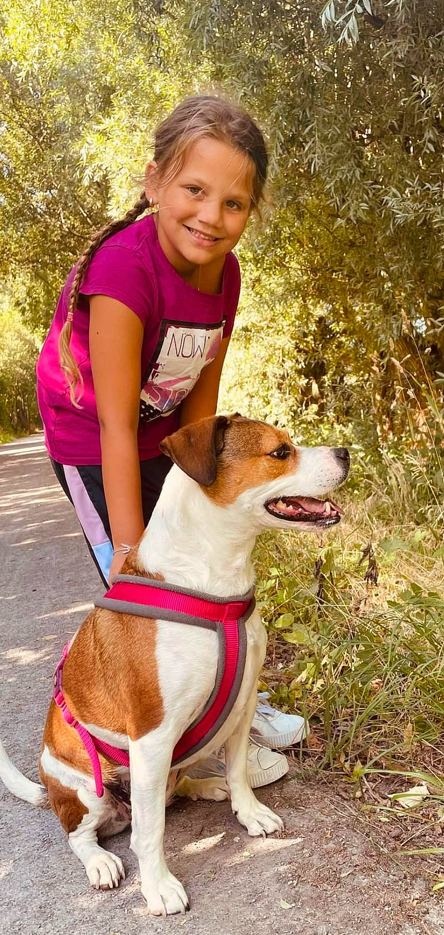 Lola a rejoint le concours — aidez-le/la à gagner de superbes lots ! carnivore, clothing, collar, companion_dog, dog, dog_breed, dog_collar, dog_supply, fashion_accessory, fawn, grass, happy, joy, leash, leisure, person, pet_supply, plant, smile, sporting_group