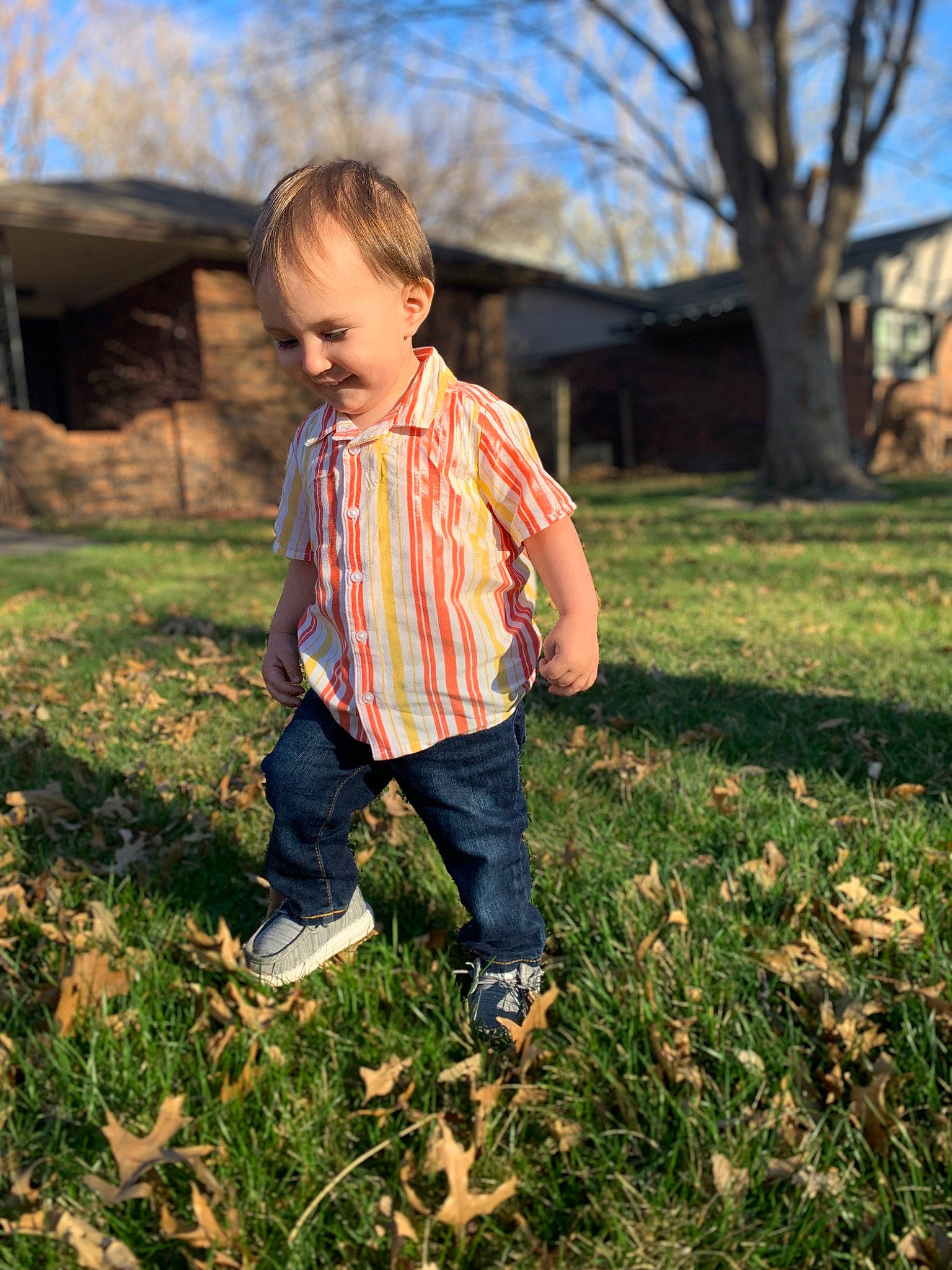 Jaelyn is registered to the contest to win money with this photo: baby, fun, grass, grass_family, grassland, happy, landscape, lawn, leisure, meadow, people_in_nature, person, plant, sky, sunlight, tints_and_shades, toddler, tree, wilderness, wood