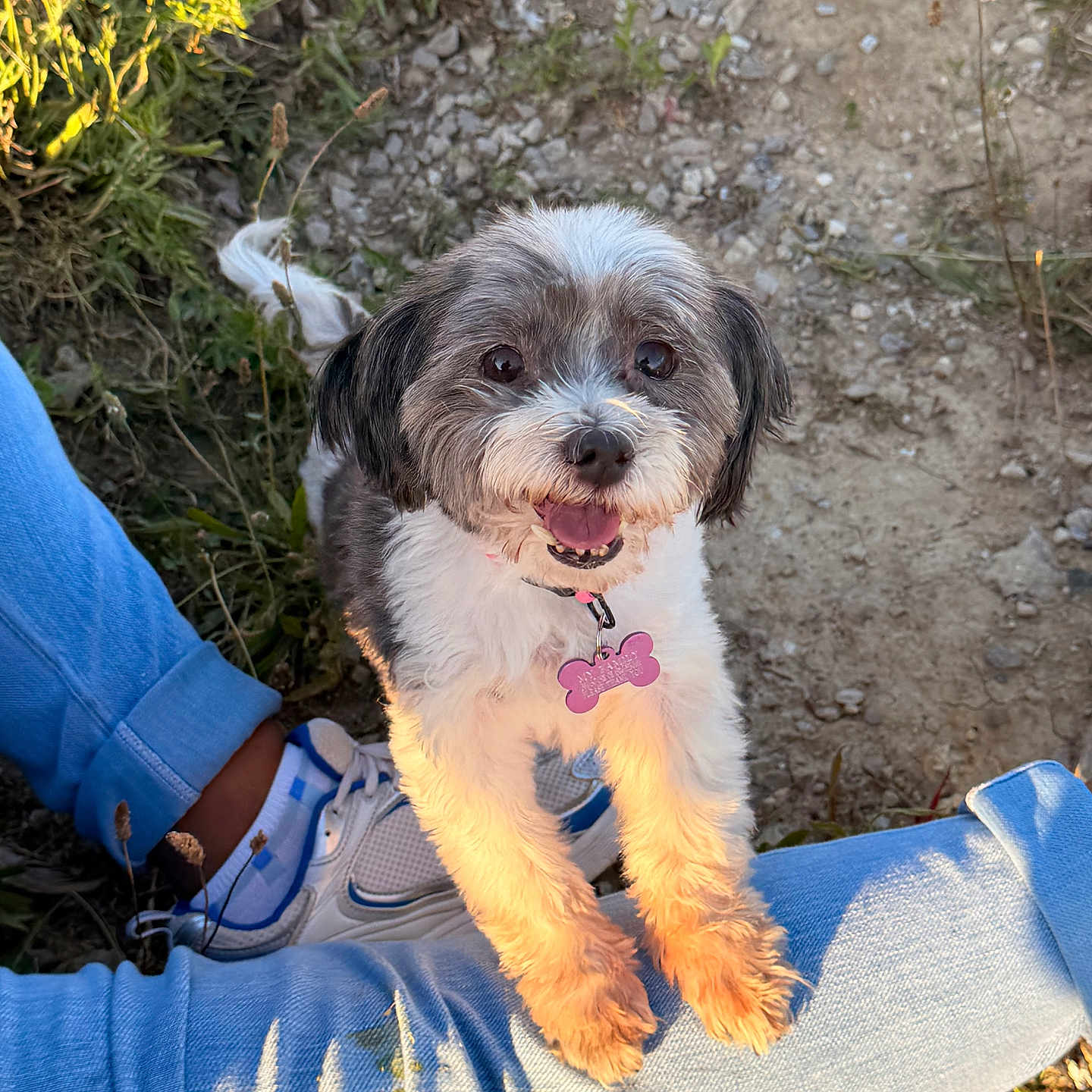 Kali