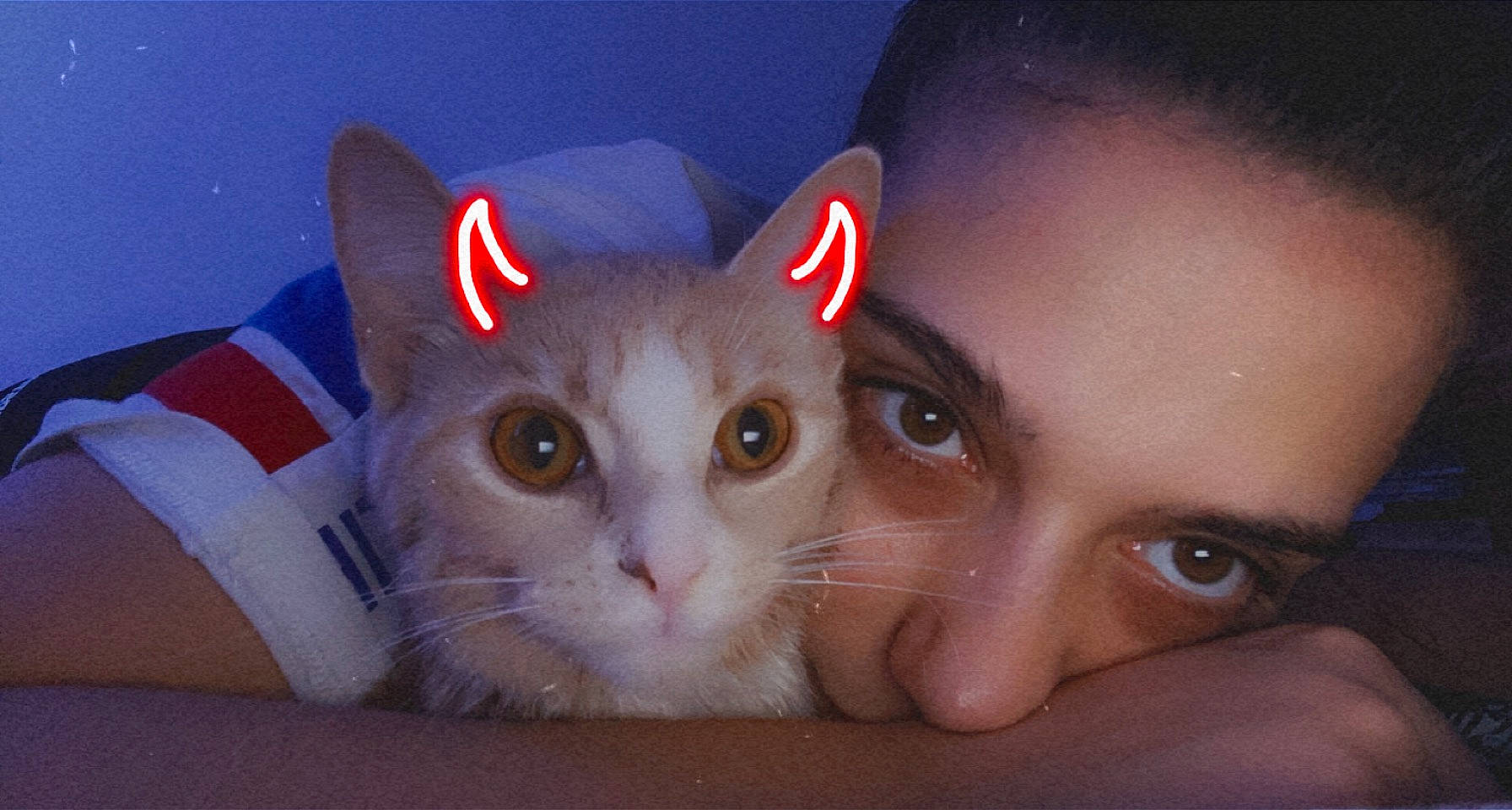 Nala a rejoint le concours — aidez-le/la à gagner de superbes lots ! carnivore, cat, child, christmas, domestic_short_haired_cat, ear, electric_blue, eyelash, fawn, felidae, fur, gesture, happy, iris, paw, photo_caption, selfie, small_to_medium_sized_cats, snout, whiskers