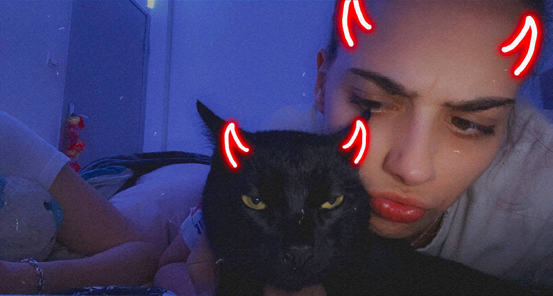 Snoupy participe au concours pour gagner de l'argent avec cette photo : black_hair, carnivore, cat, darkness, ear, electric_blue, eye, eyelash, felidae, flash_photography, fun, fur, gesture, lighting, lip, midnight, mouth, night, small_to_medium_sized_cats, whiskers