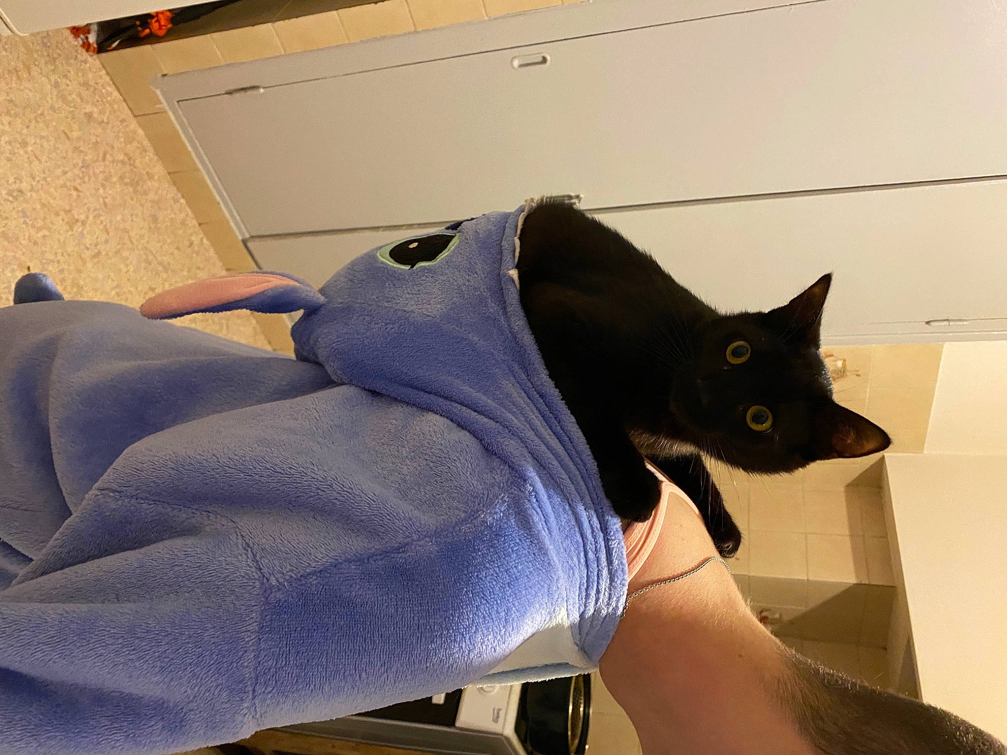 Snoupy participe au concours pour gagner de l'argent avec cette photo : black_cat, bombay, carnivore, cat, comfort, domestic_short_haired_cat, elbow, electric_blue, felidae, fur, gesture, human_leg, knee, lap, leg, sleeve, small_to_medium_sized_cats, tail, thigh, whiskers