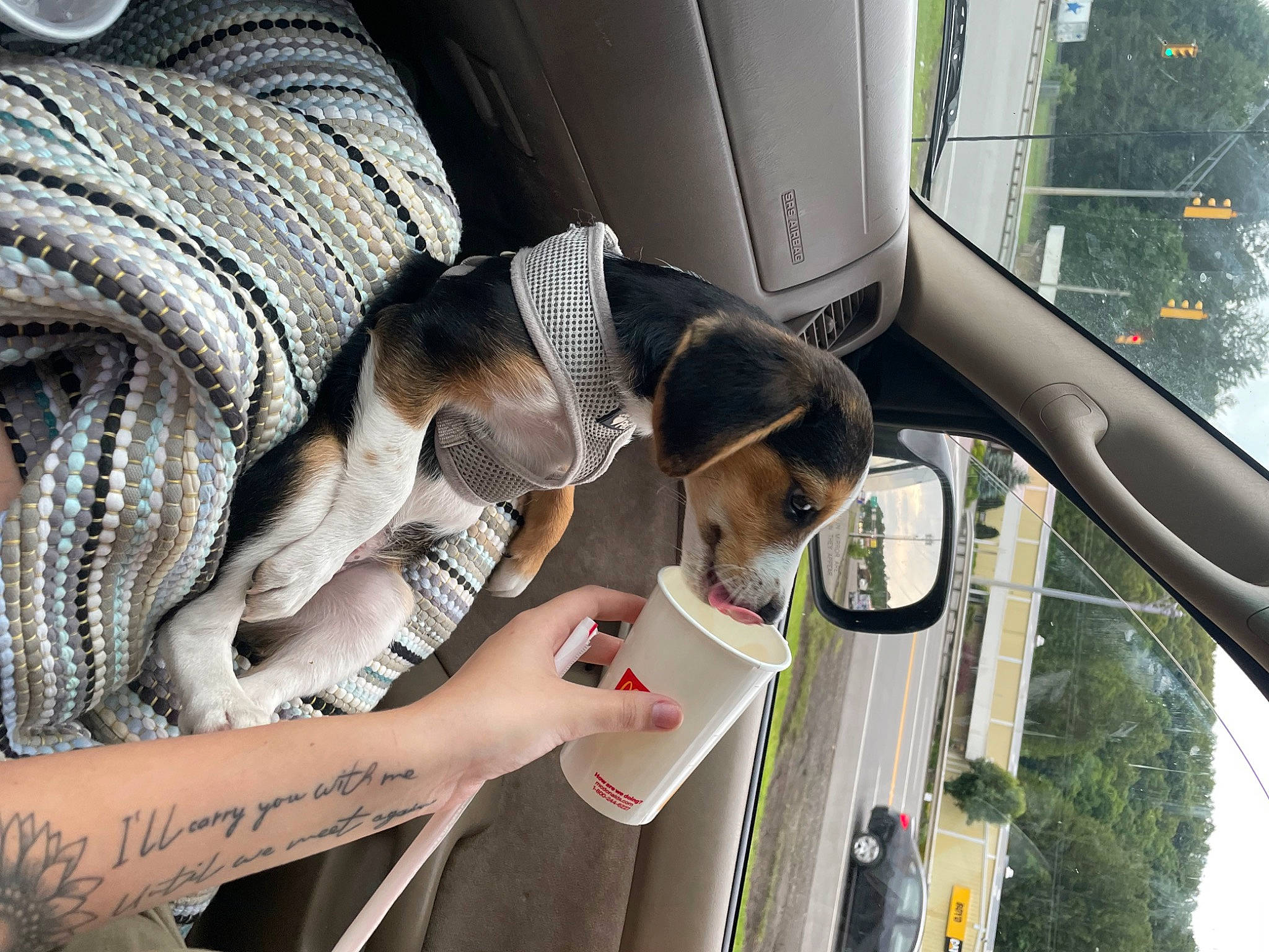 Copper joined the competition — help win amazing prizes! auto_part, automotive_design, automotive_exterior, automotive_lighting, automotive_mirror, automotive_tire, automotive_window_part, car, eyewear, family_car, glass, hand, motor_vehicle, plant, sunglasses, tree, vehicle, vehicle_door, window, windshield