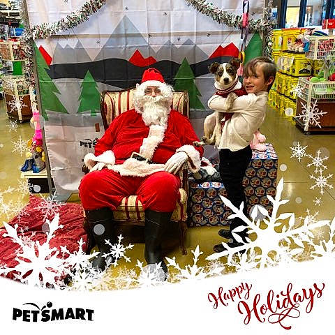 Jesse is registered to the contest to win money with this photo: christmas, christmas_eve, event, fictional_character, holiday, person, photography, santa_claus