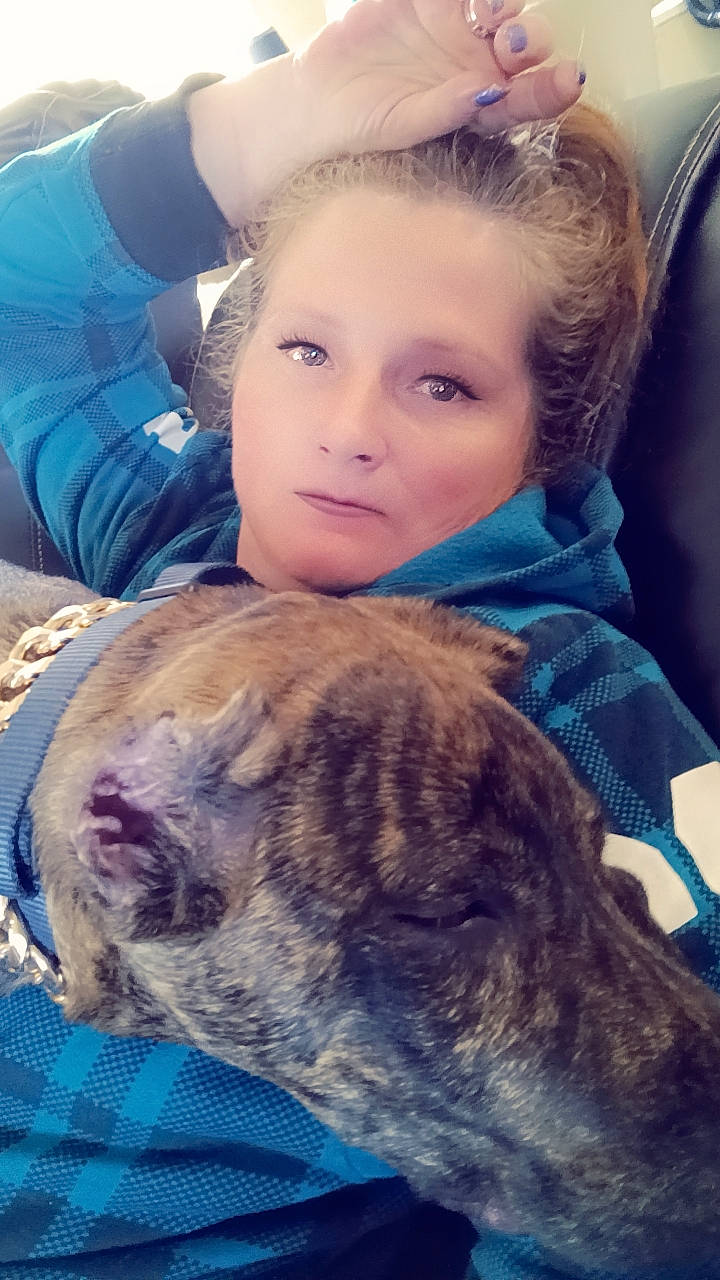 Axle joined the competition — help win amazing prizes! carnivore, child, comfort, companion_dog, cool, dog, dog_breed, ear, eyelash, fawn, felidae, fur, happy, head, human_body, organ, skin, snout, sporting_group, whiskers