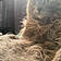 Fluffy