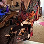 blanket, calico, carpet, cat, chair, computer, decor, desk, feline, figurine, indoor, keyboard, mouse, office_chair, patterned_fabric, paw, pet, relaxed, room, vase