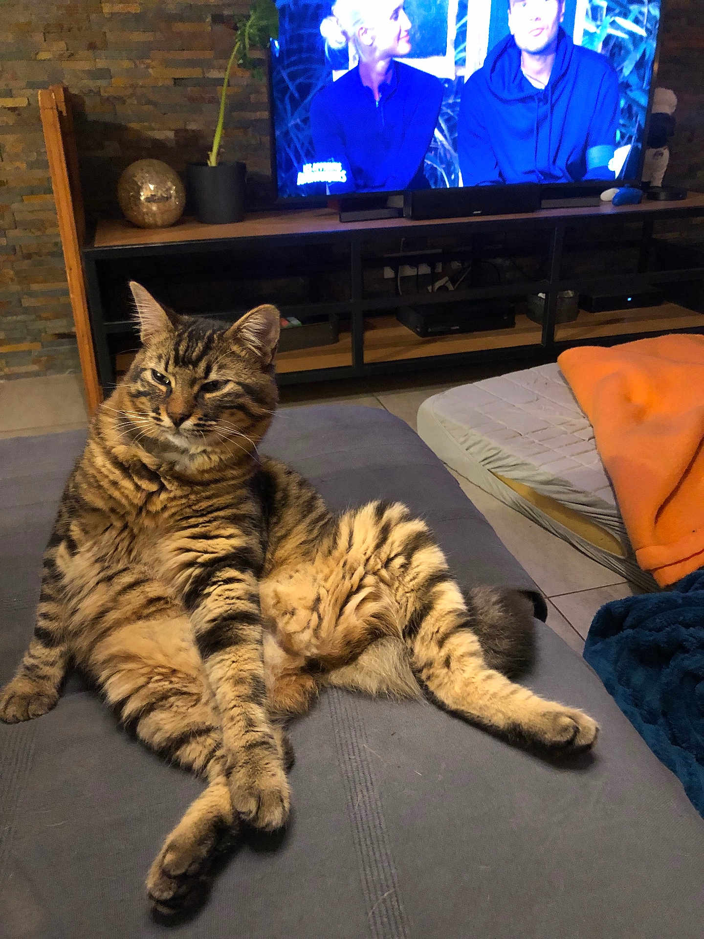Bobby