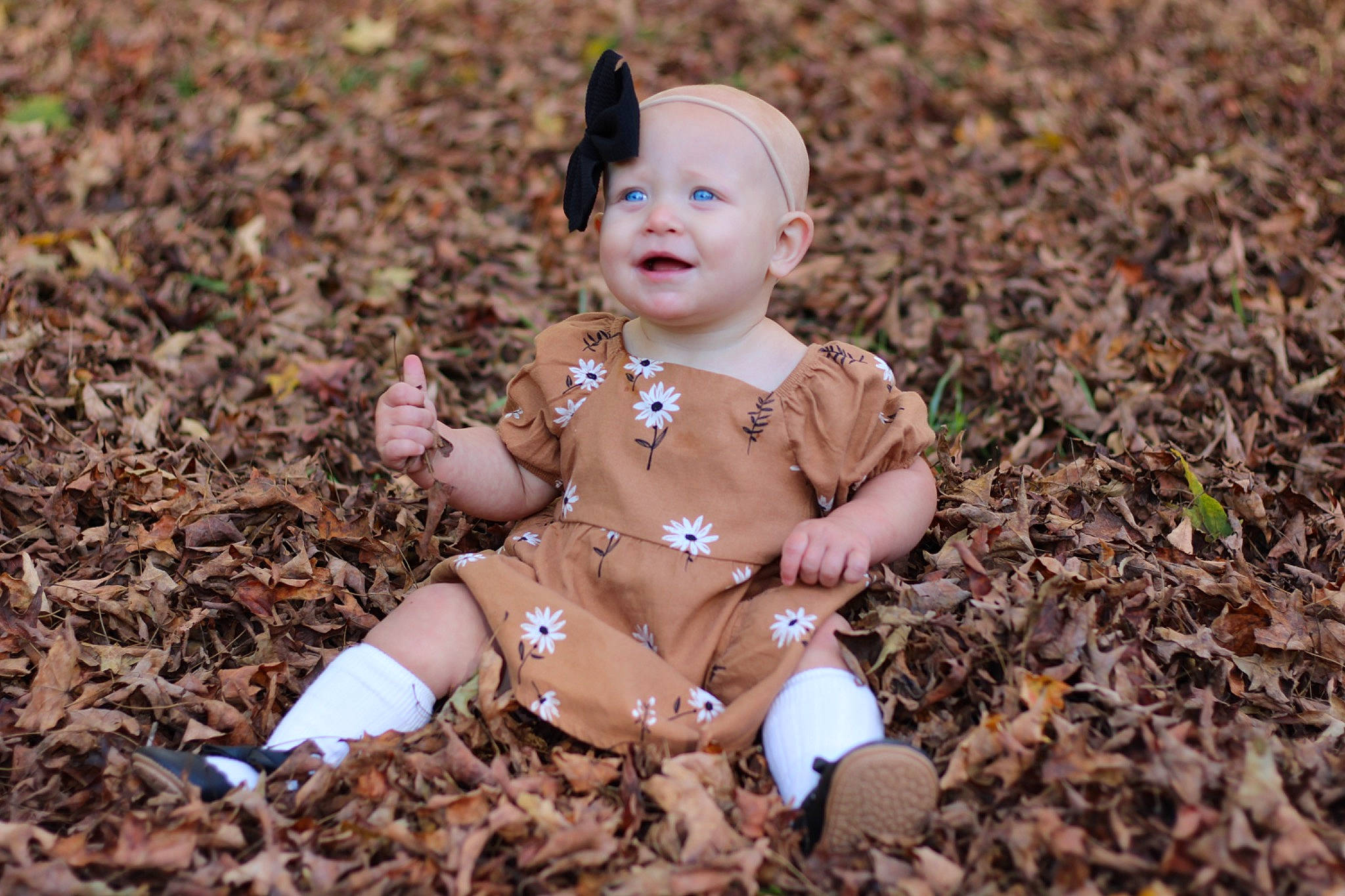 Penelope is registered to the contest to win money with this photo: autumn, baby, baby_toddler_clothing, cheek, child, eye, fun, grass, happy, hat, headwear, joy, people_in_nature, person, plant, play, portrait_photography, sitting, smile, soil