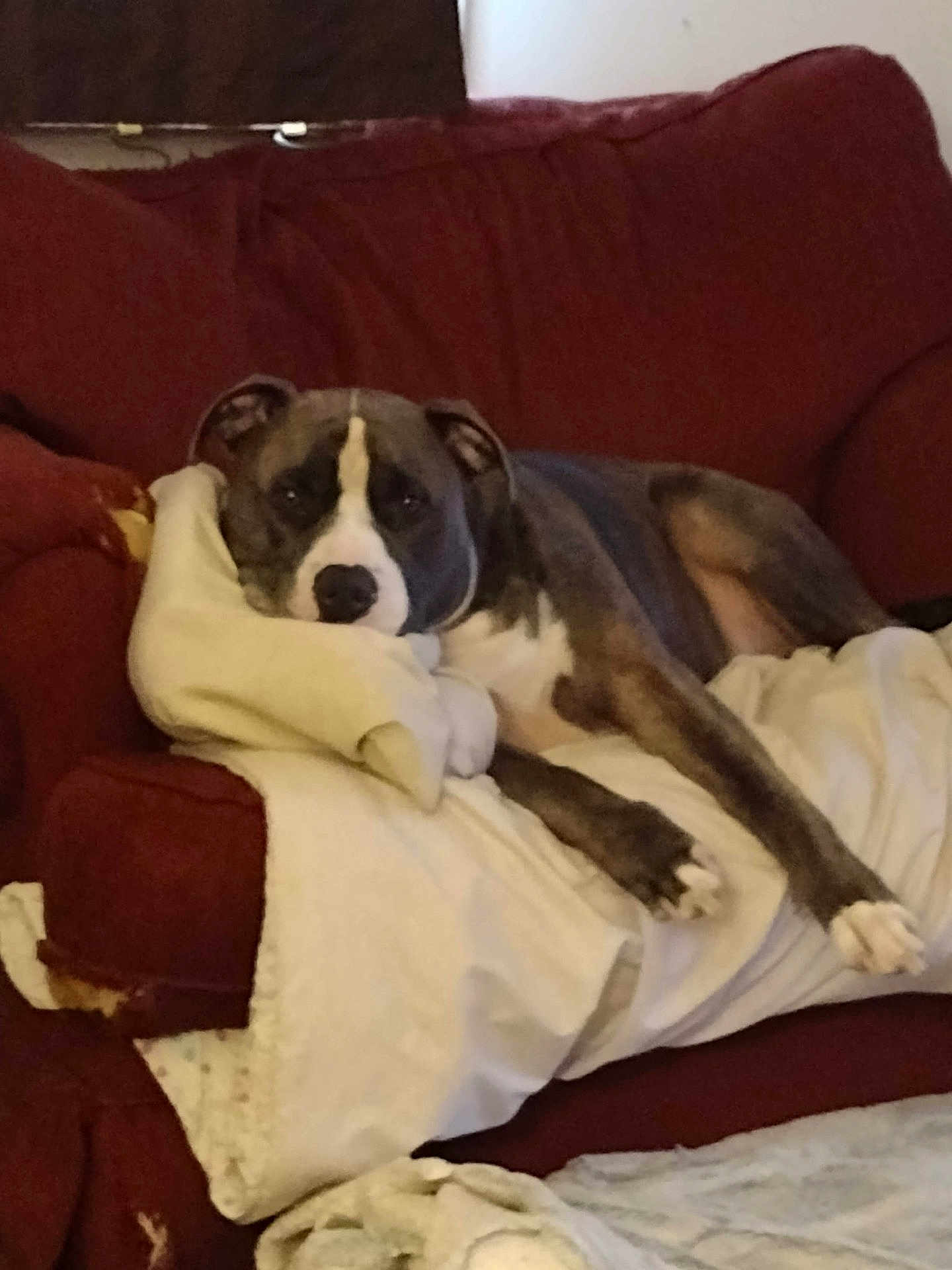 Remi