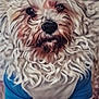 animal, blue_shirt, carpet, closeup, companion, curly_fur, cute, dog, domestic, fluffy, fur, house_pet, indoor, looking_up, mammal, pet, portrait, sitting, small_dog, white
