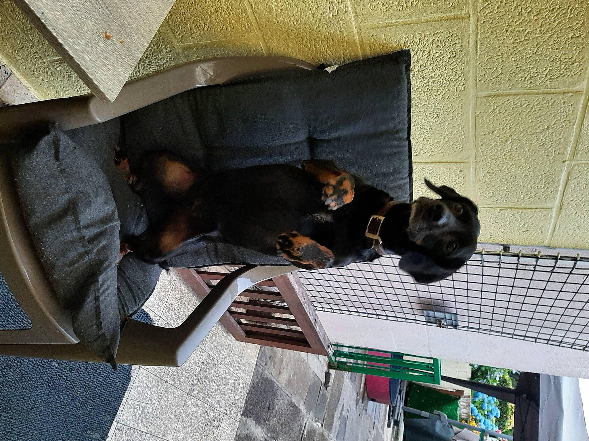 Black participe au concours pour gagner de l'argent avec cette photo : armrest, comfort, couch, flooring, hardwood, linens, living_room, room, shade, studio_couch