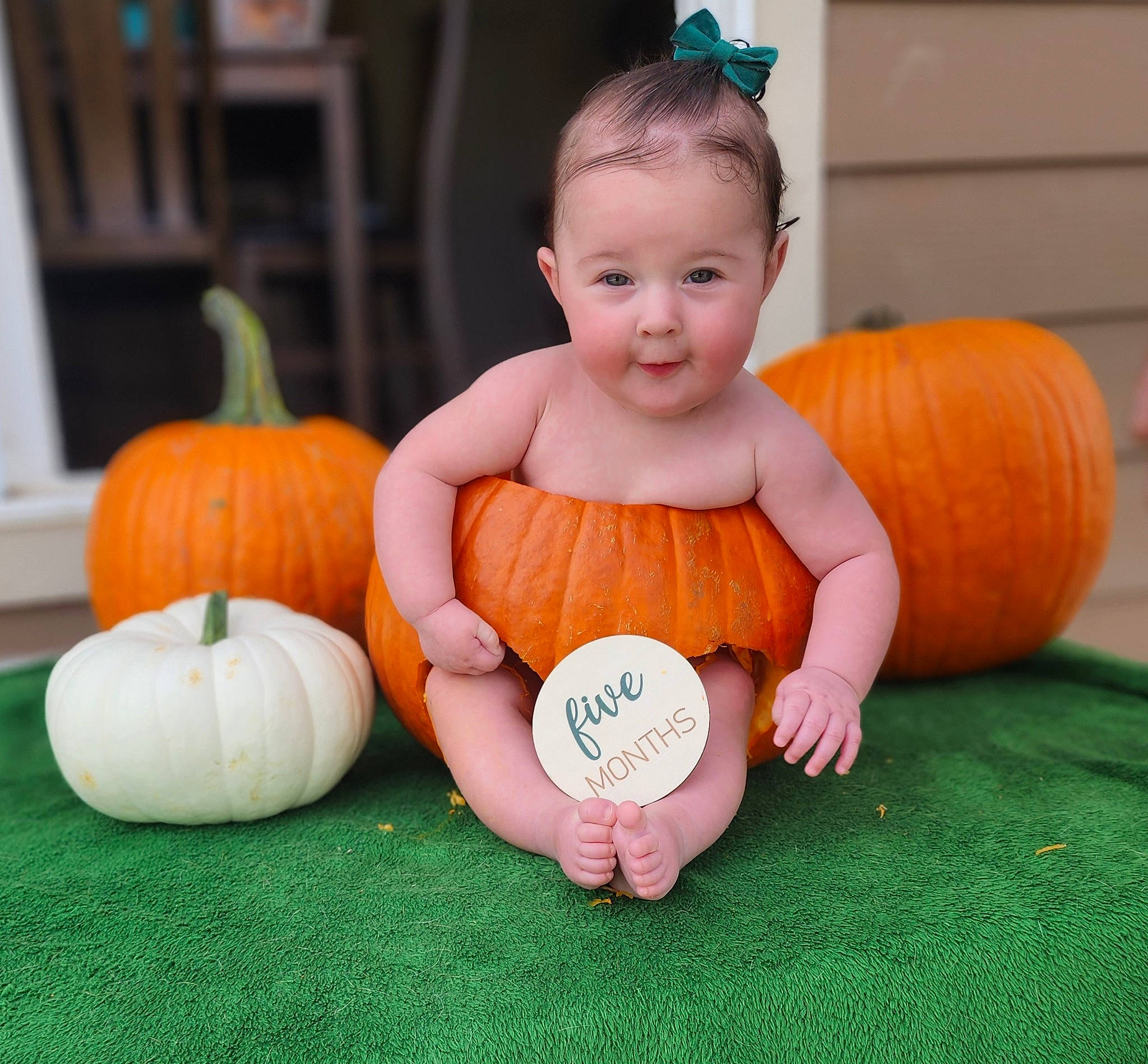 Amethyst joined the competition — help win amazing prizes! calabaza, eye, face, facial_expression, flooring, gourd, grass, happy, head, mammal, natural_foods, orange, organ, person, plant, product, pumpkin, smile, vertebrate, winter_squash