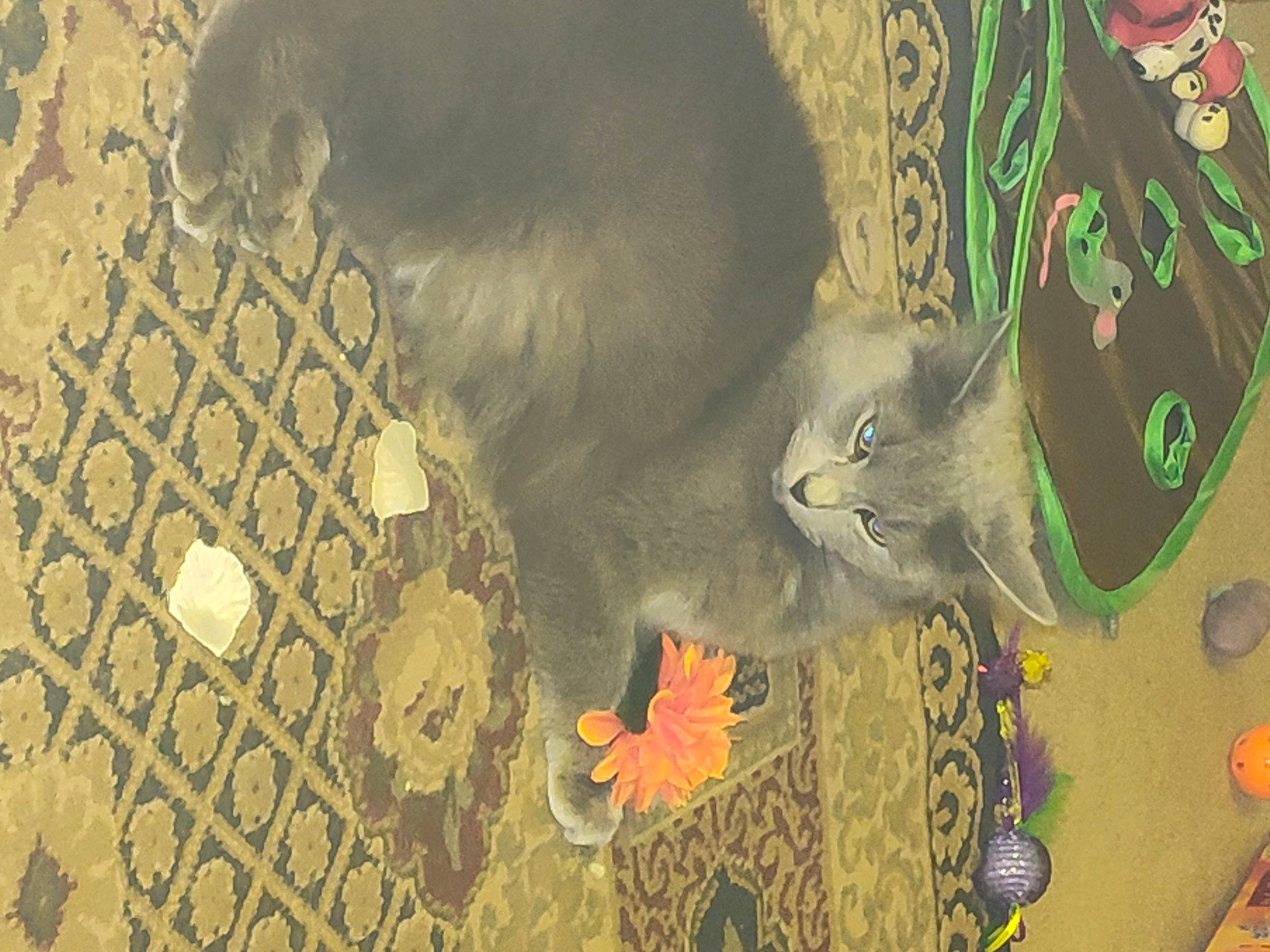 Bella joined the competition — help win amazing prizes! art, carnivore, cat, fawn, felidae, fur, grey, illustration, leaf, organism, painting, pattern, plant, russian_blue, small_to_medium_sized_cats, tail, textile, visual_arts, whiskers, wood